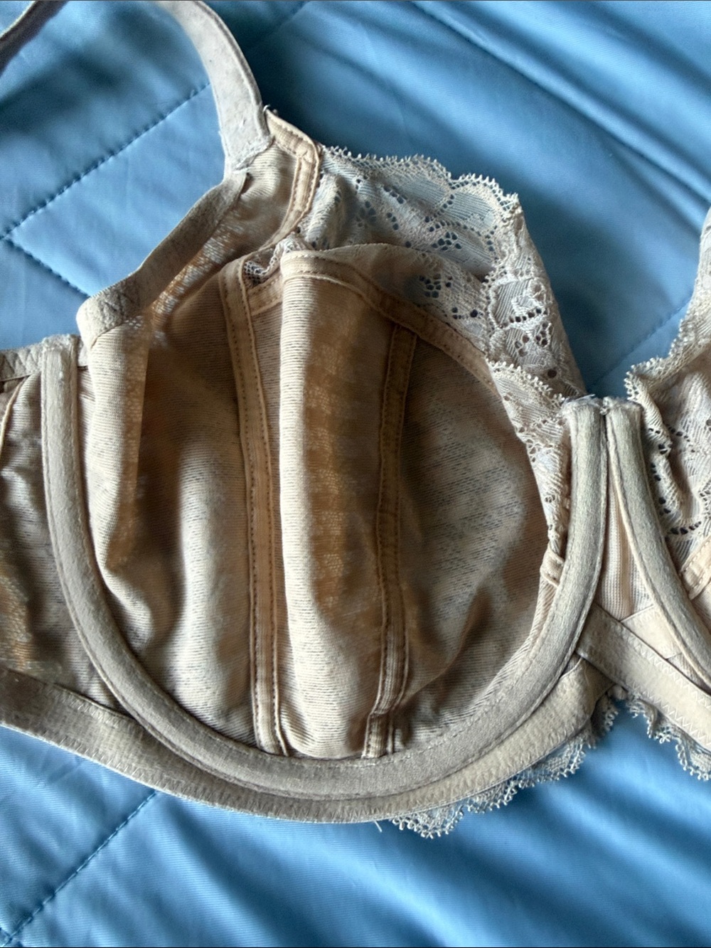 Panache Envy Balconnett Lace Underwire Bra - Picture 4 of 5